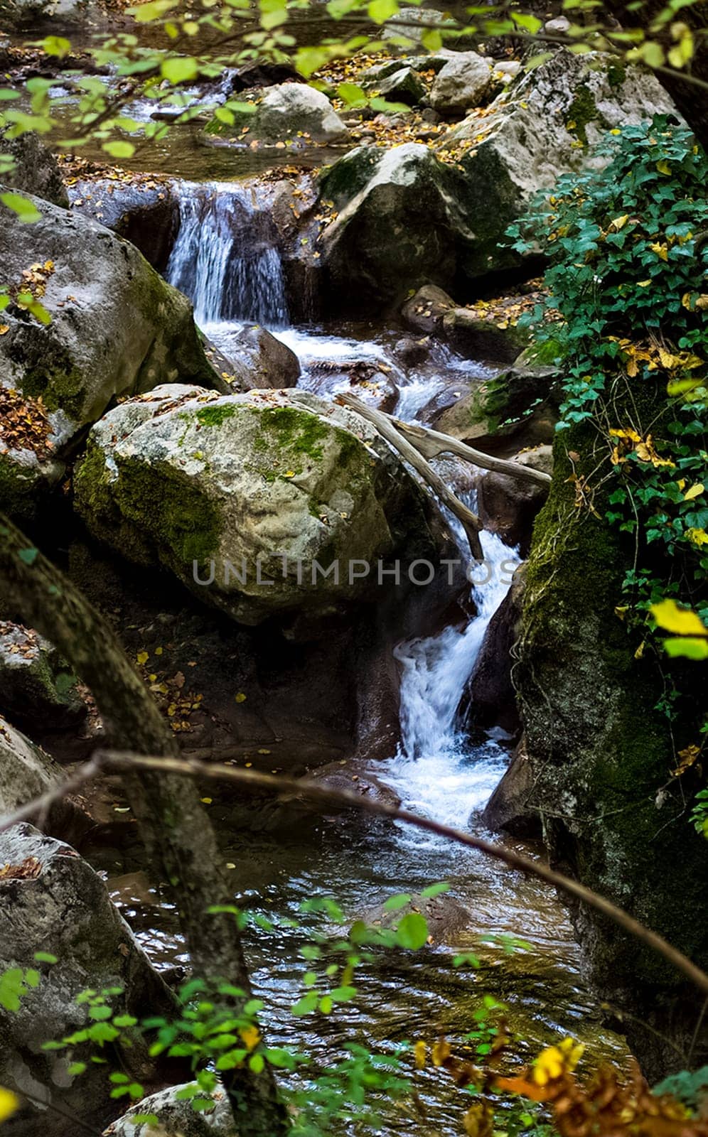 Mountain small river in the forest with rapids and waterfalls. A forest creek.