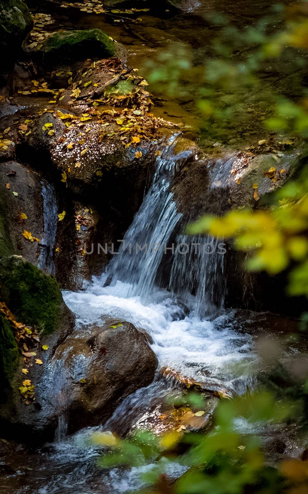 Mountain small river in the forest with rapids and waterfalls. A forest creek.