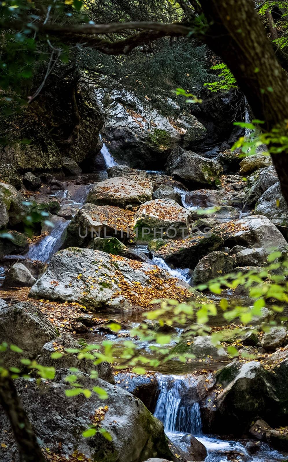 Mountain small river in the forest with rapids and waterfalls. A forest creek.