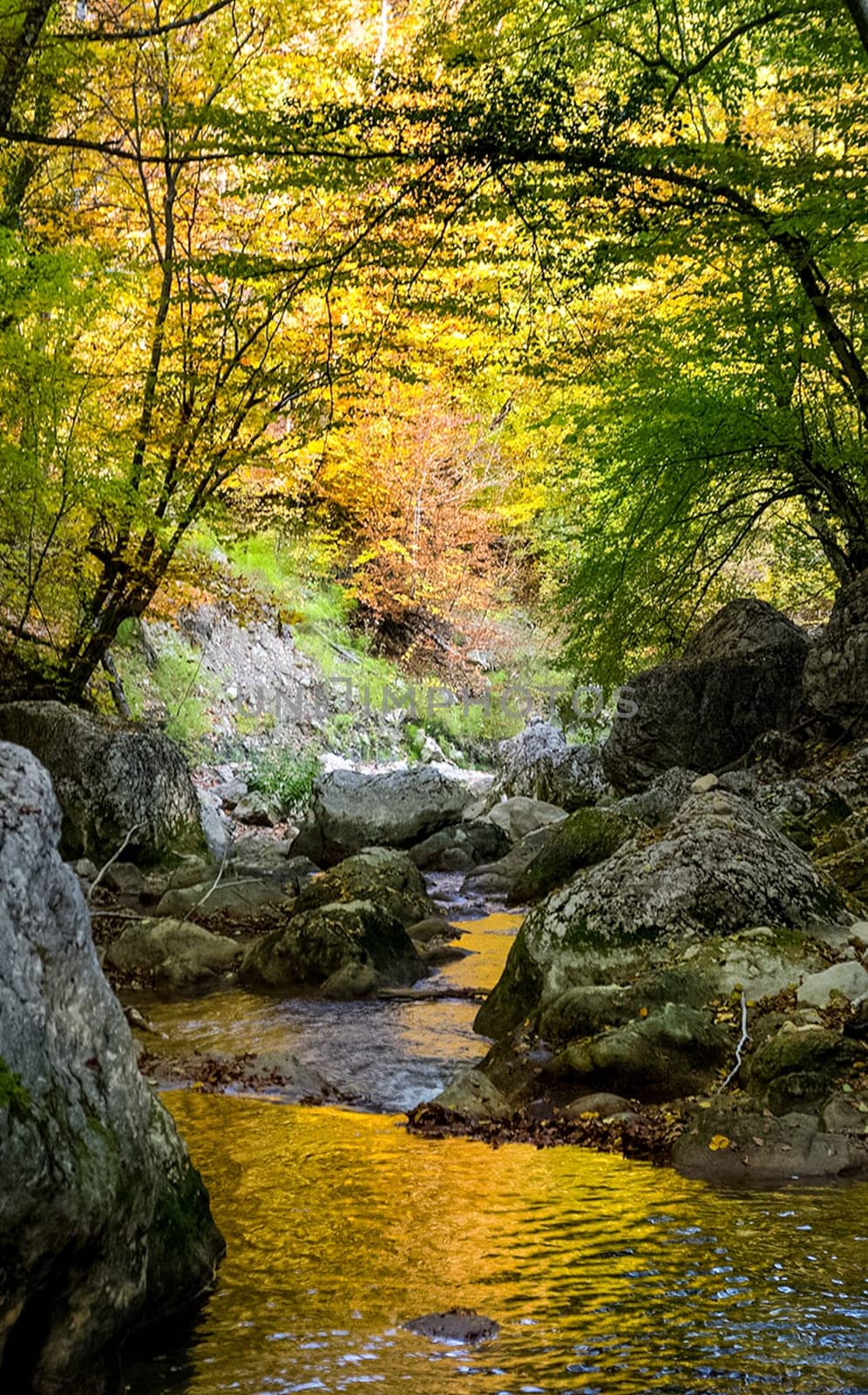 Mountain small river in the forest with rapids and waterfalls. A forest creek.