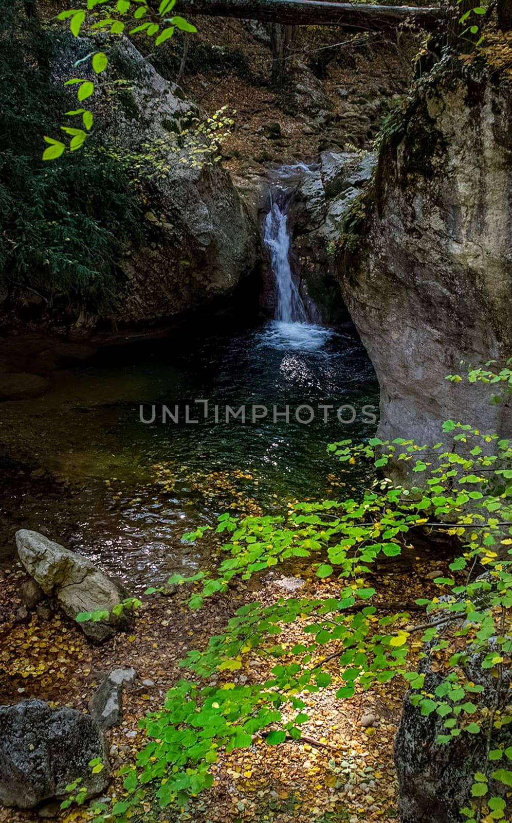 Mountain small river in the forest with rapids and waterfalls. A forest creek.