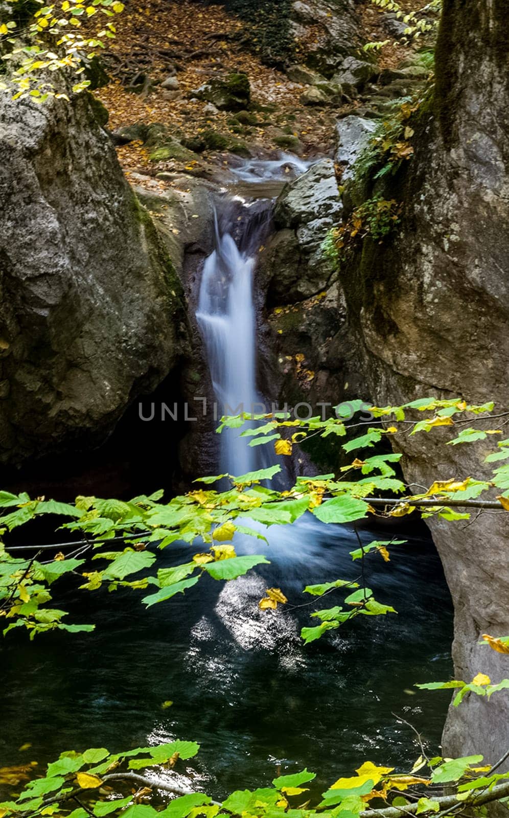 Mountain small river in the forest with rapids and waterfalls. A forest creek.