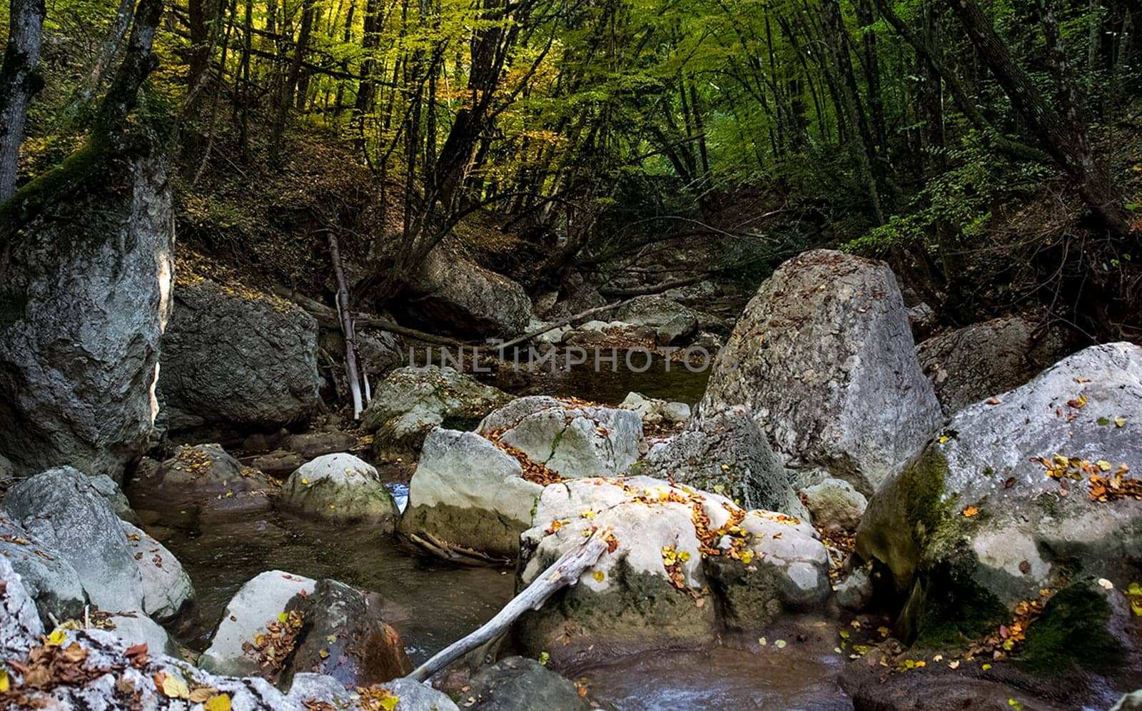Mountain small river in the forest with rapids and waterfalls. A forest creek.