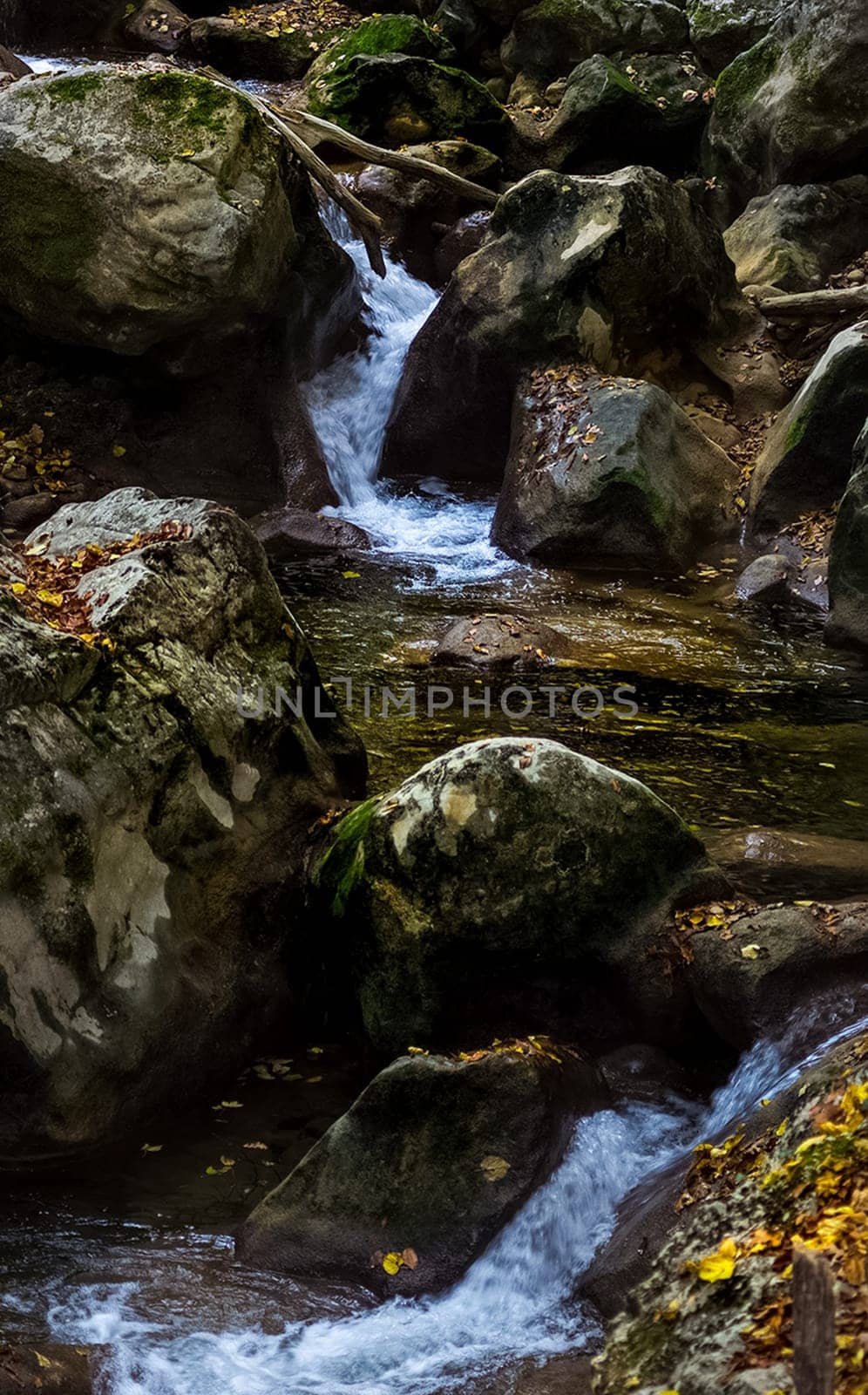 Mountain small river in the forest with rapids and waterfalls. A forest creek.