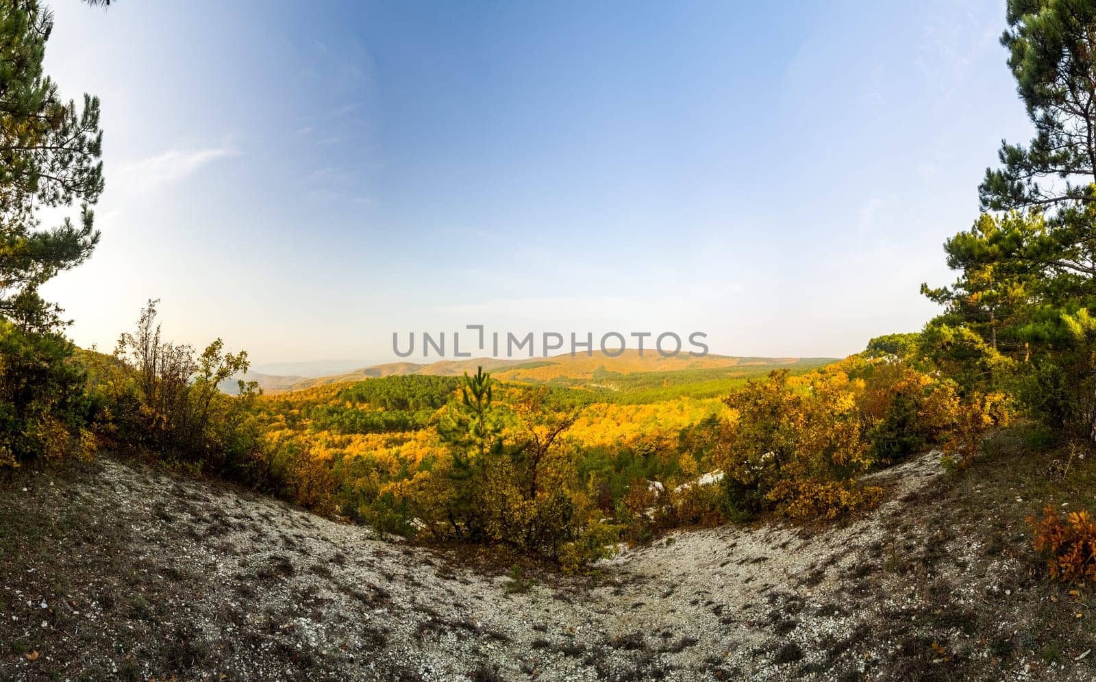 Mountains and forests of Crimea. coniferous and deciduous trees on the hills of the mountains and rocks