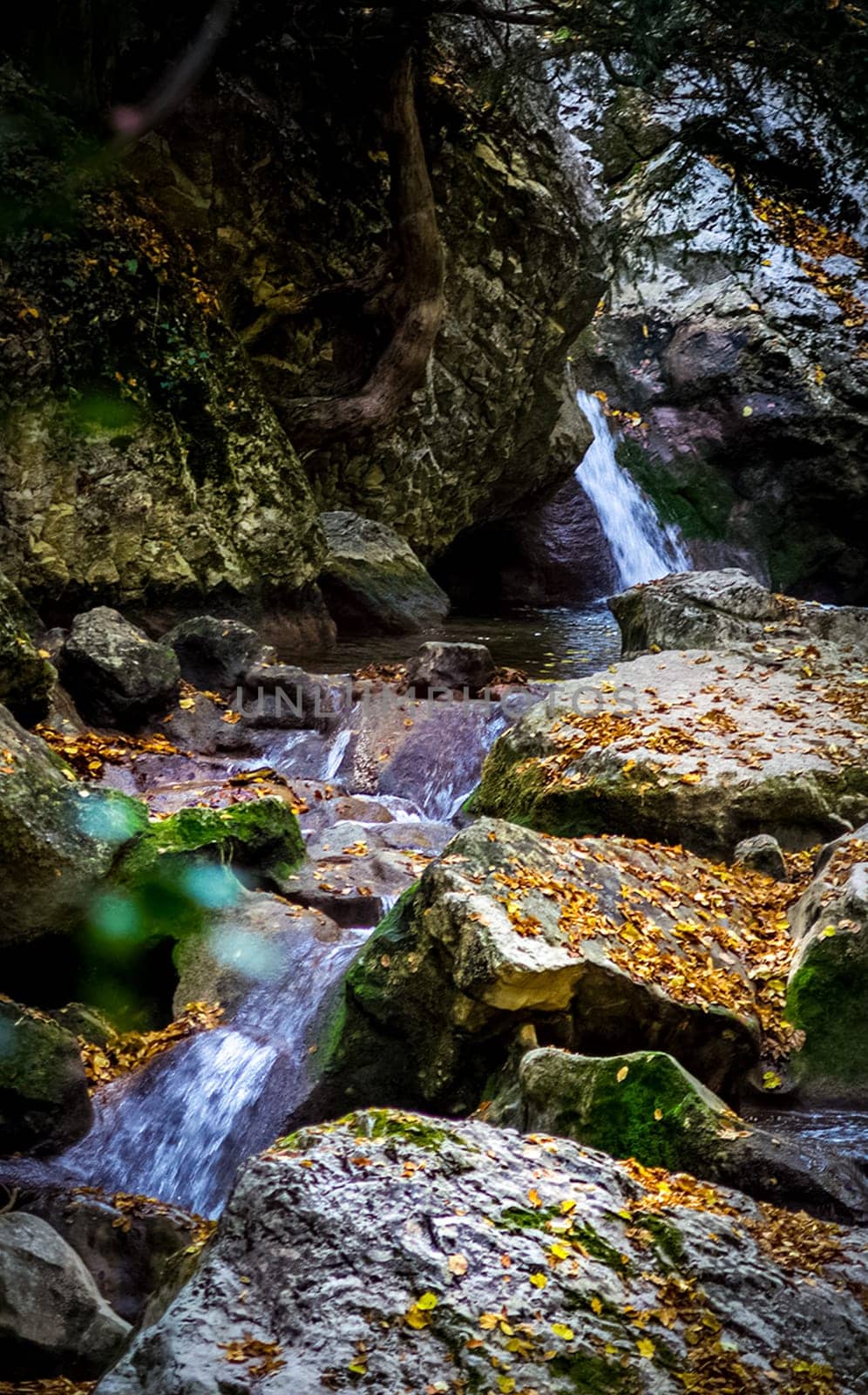 Mountain small river in the forest with rapids and waterfalls. A forest creek.
