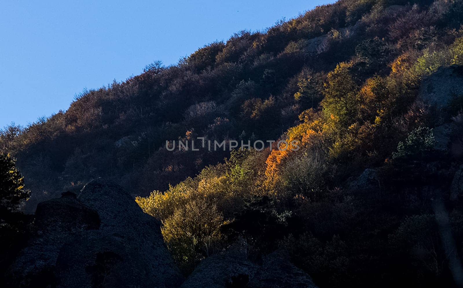 Mountains and forests of Crimea. coniferous and deciduous trees on the hills of the mountains and rocks