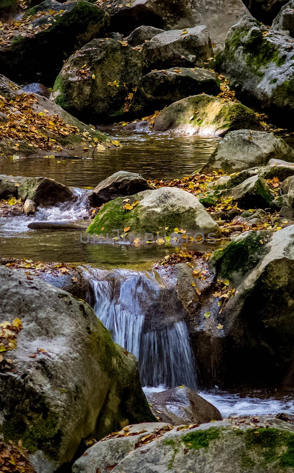 Mountain small river in the forest with rapids and waterfalls. A forest creek.