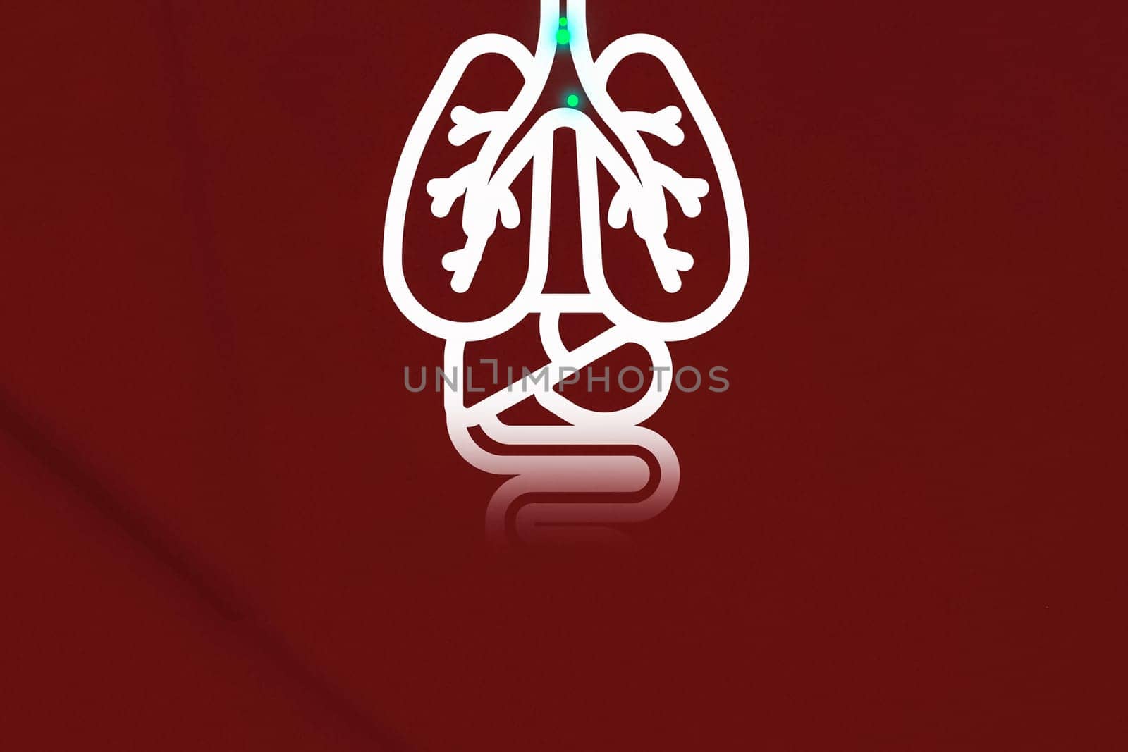 Lungs infected with coronavirus. Illustration of a person's lungs.