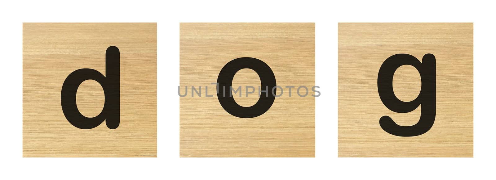 A dog word with wood blocks on white