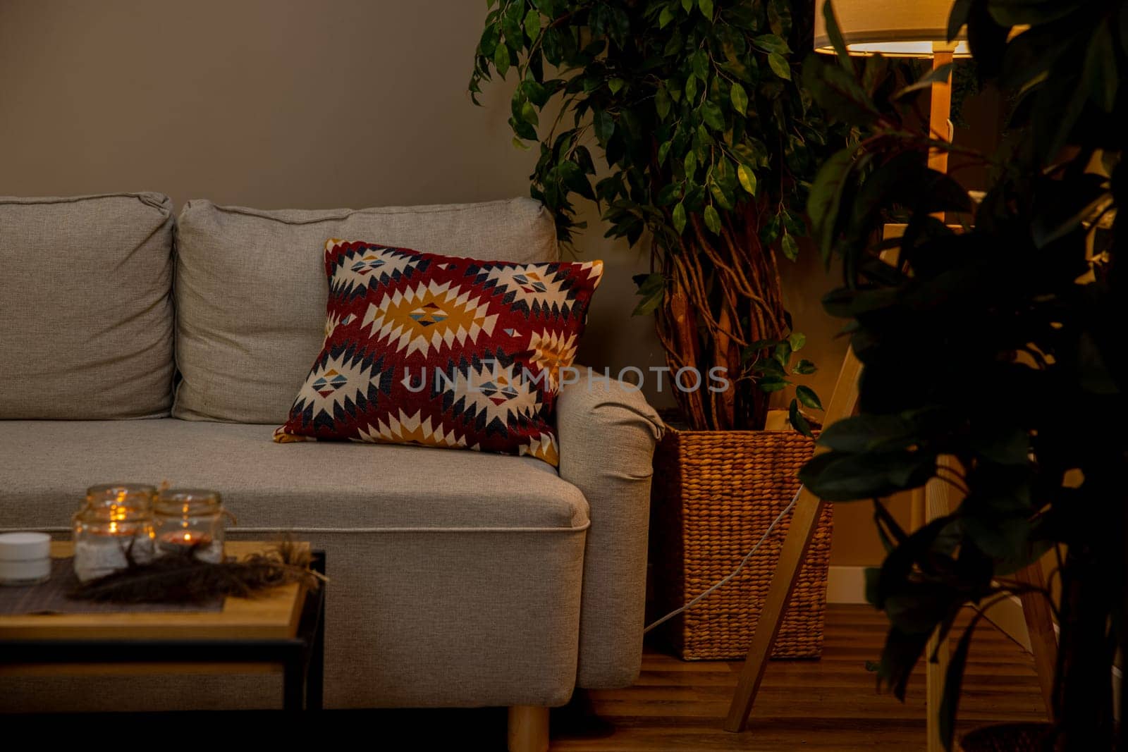A modern living room that features a comfortable sofa adorned with colorful cushions and lush, vibrant plants
