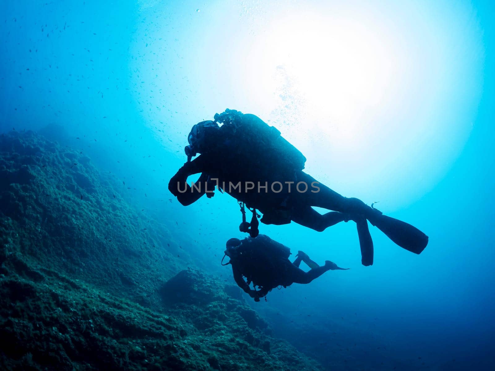 two scuba divers swimming in the ocean, one of them is looking down at the ocean floor