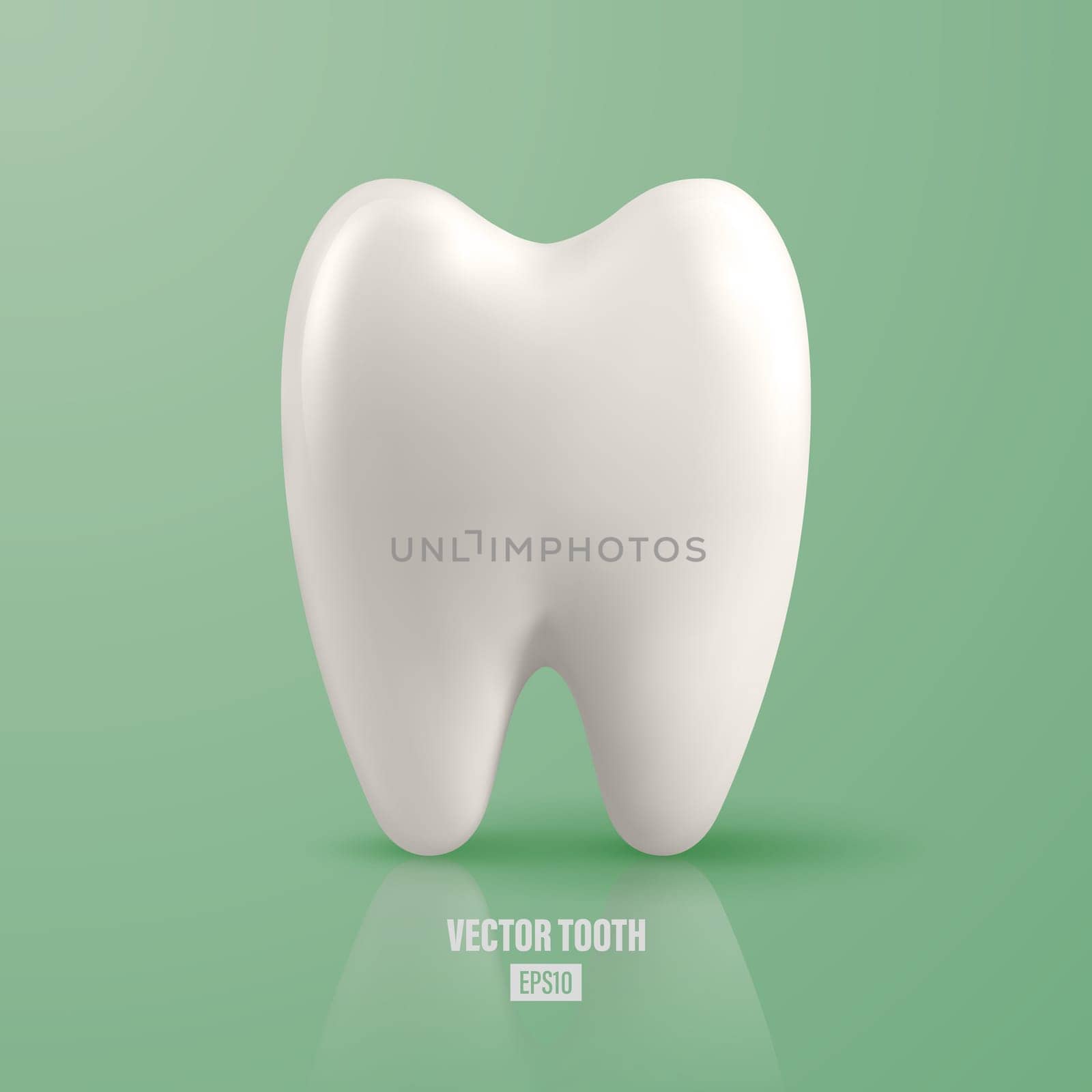 Vector 3d Realistic Tooth. Dental Inspection Banner, Plackard. Tooth Icon Closeup on Green Background. Medical, Dentist Design Template. Dental Health Concept.