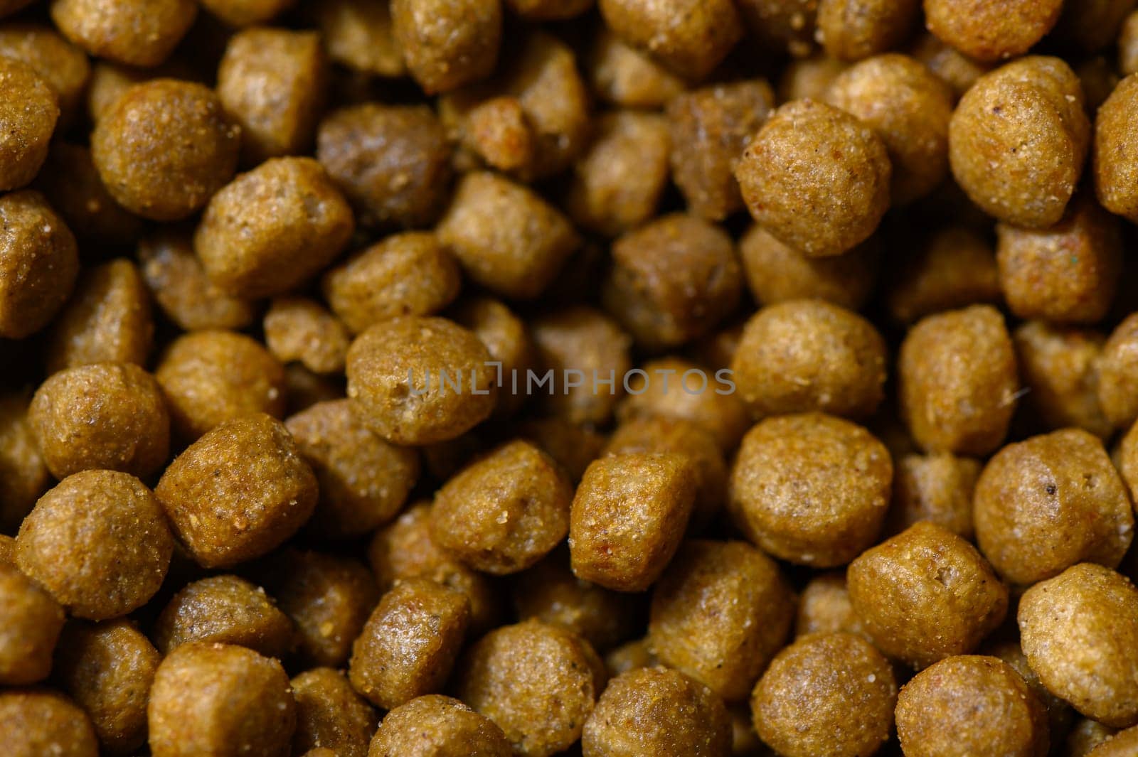 Close-up of small, round pet food granules glowing warmly, showcasing their rich texture and color.