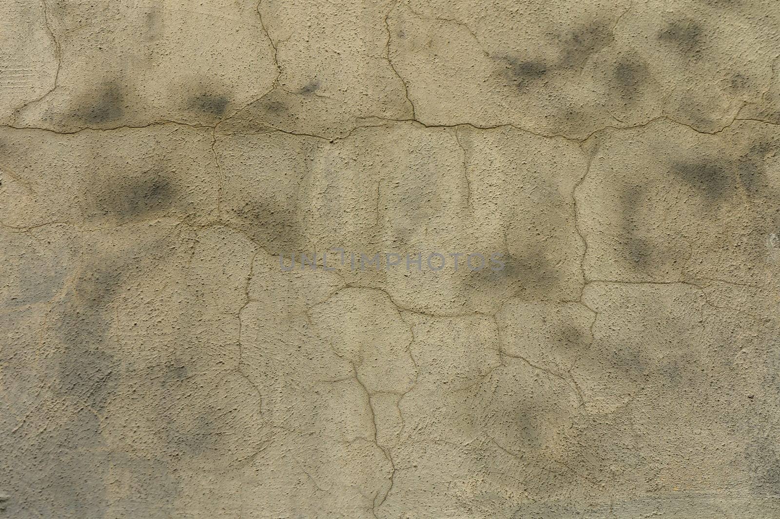 Cracks and stains adorn a weathered wall, telling stories of urban life and the effects of nature over time.