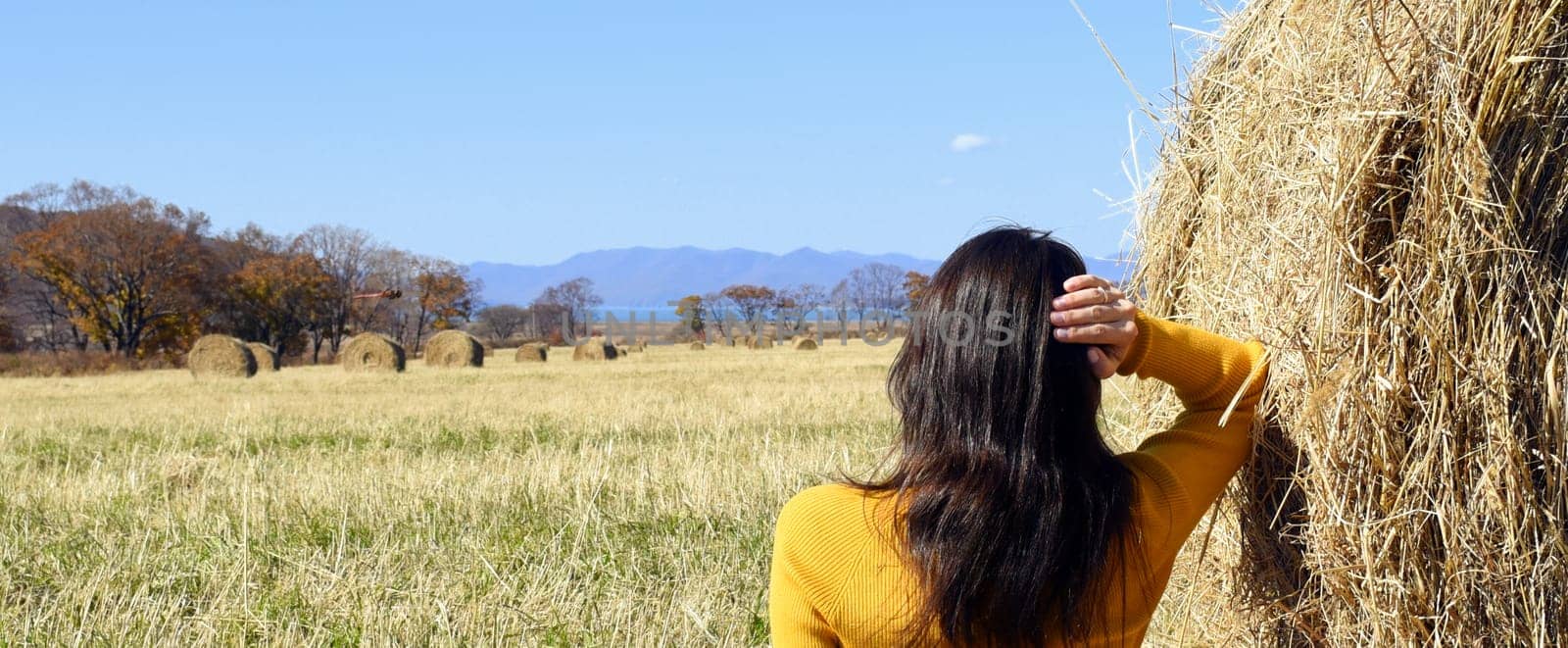 Young brunette woman in yellow sweater leaned her hand on haystack. she resting and dreaming, looking at the autumn forest and field with bales of hay. Primorsky kray, Russia. Beauty in nature.