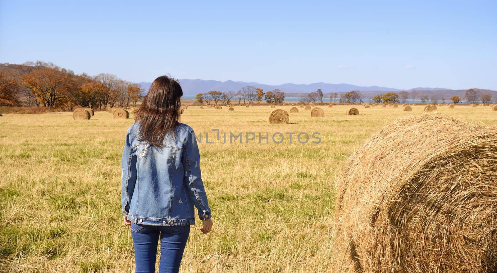 Young brunette woman in denim jacket standing near haystack in field with bales of hay. she looking at mountains and the autumn forest. Primorsky kray, Russia. Beauty in nature. Copy space