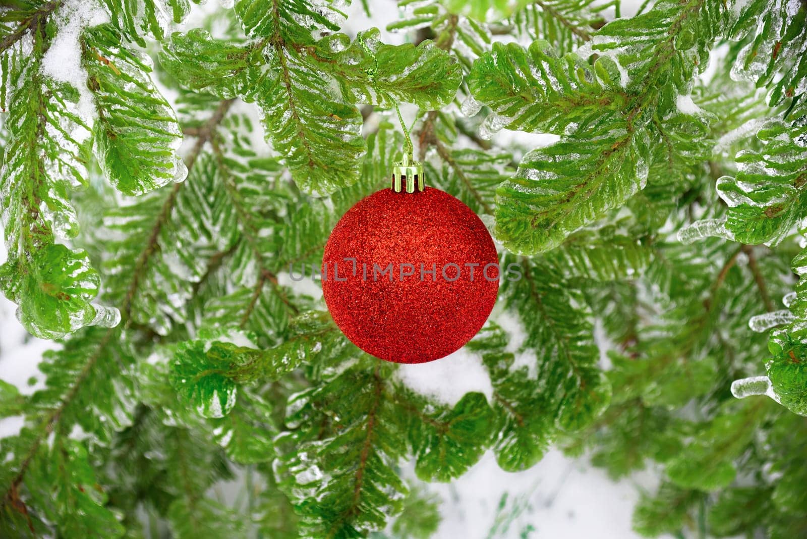 Red shiny Christmas toy ball hanging on a fir branch in the snow. Celebration