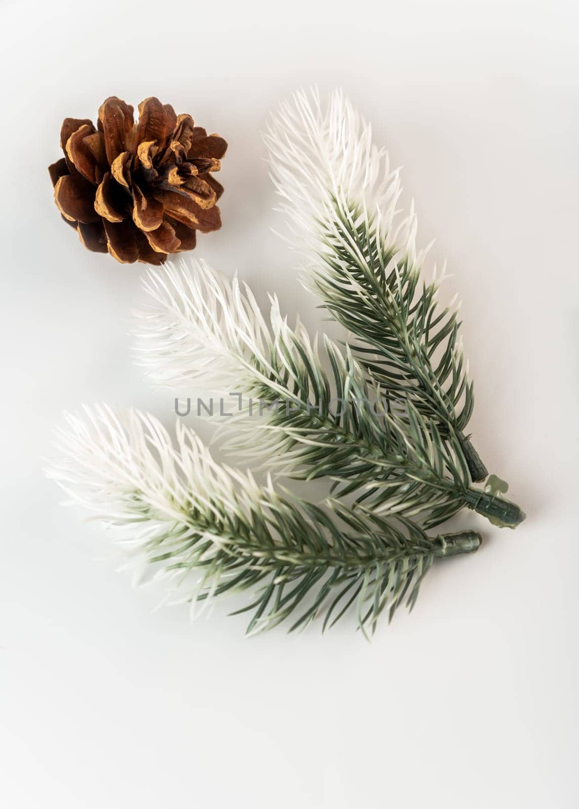 Fake fir tree branch for decorating of bouquets and home.