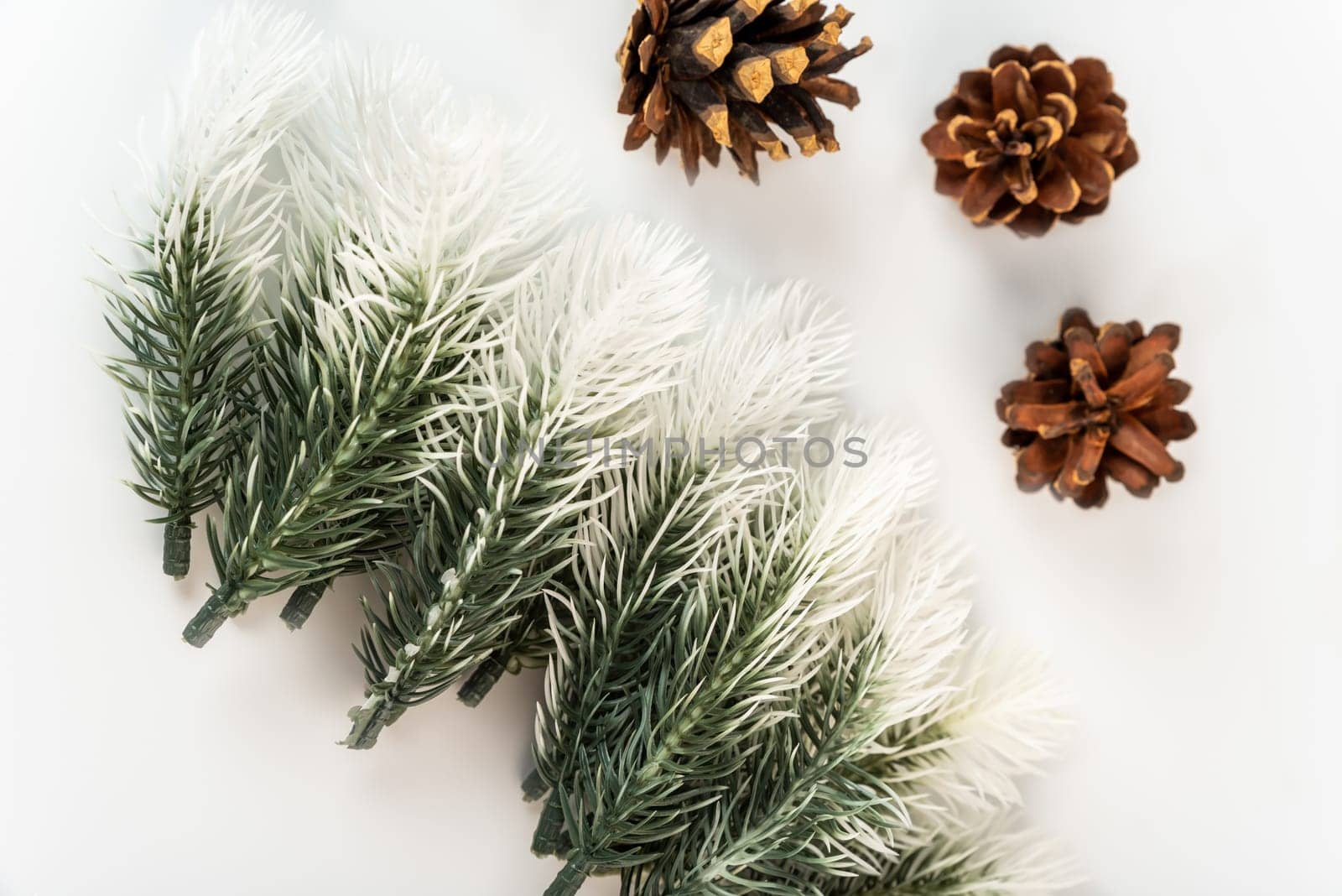 Fake fir tree branch for decorating of bouquets and home.