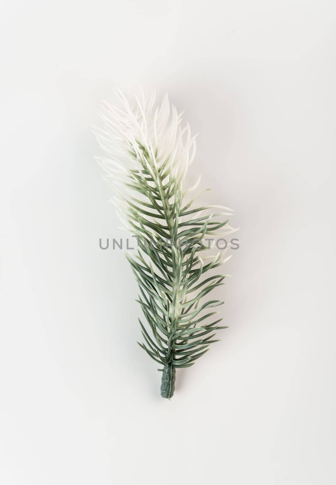 Fake fir tree branch for decorating of bouquets and home.