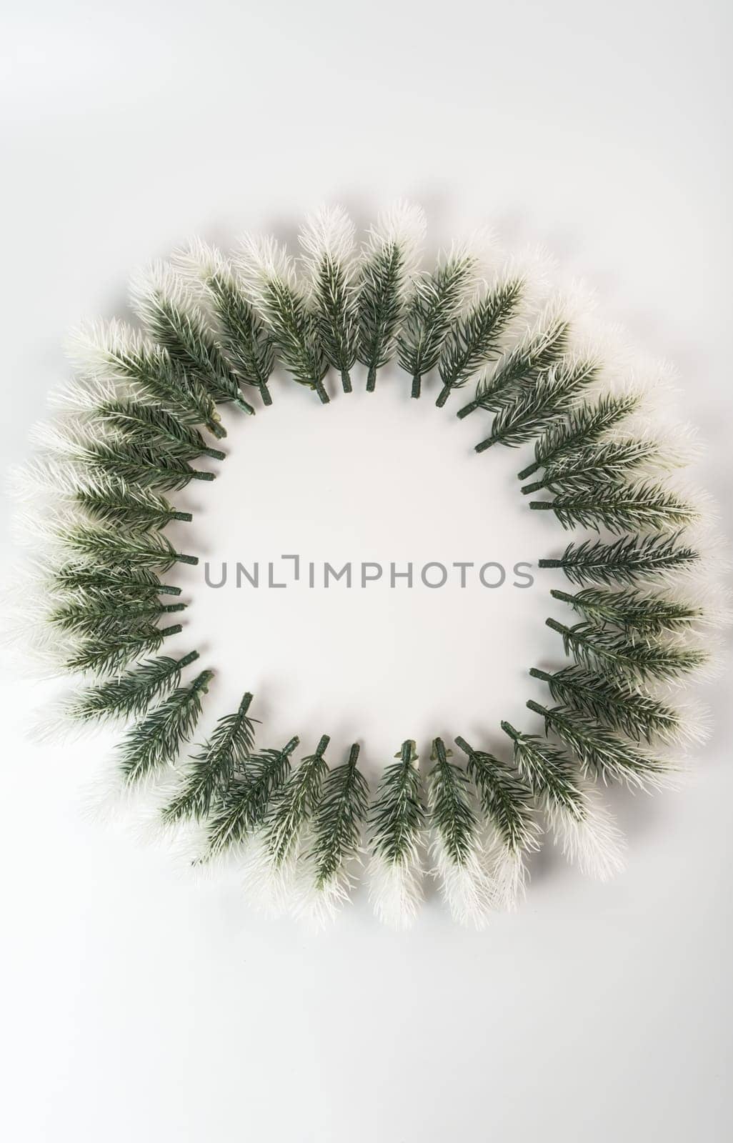 Fake fir tree branch for decorating of bouquets and home.