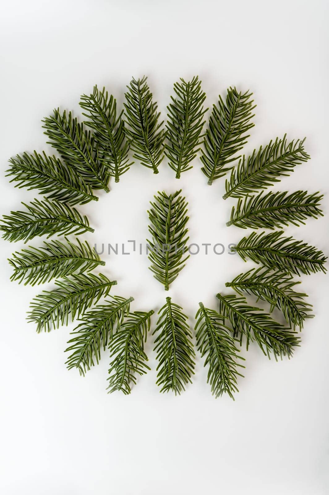 Fake fir tree branch for decorating of bouquets and home.