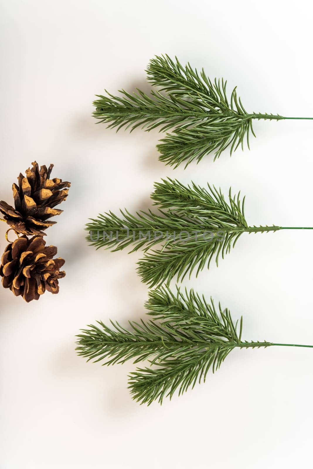 Fake fir tree branch for decorating of bouquets and home.
