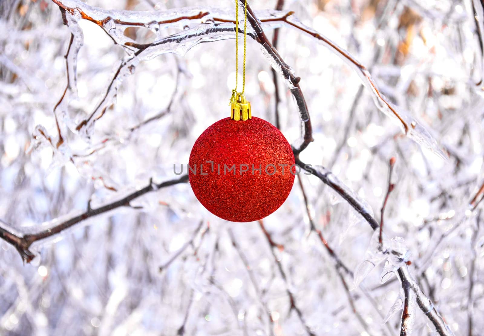 Red Christmas toy hanging on frozen branches of trees covered with ice. Russia, winter forest