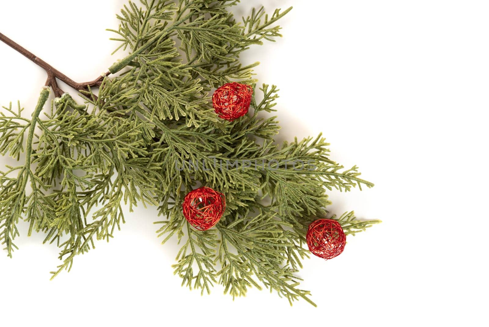 Fake fir tree branch for decorating of bouquets and home.