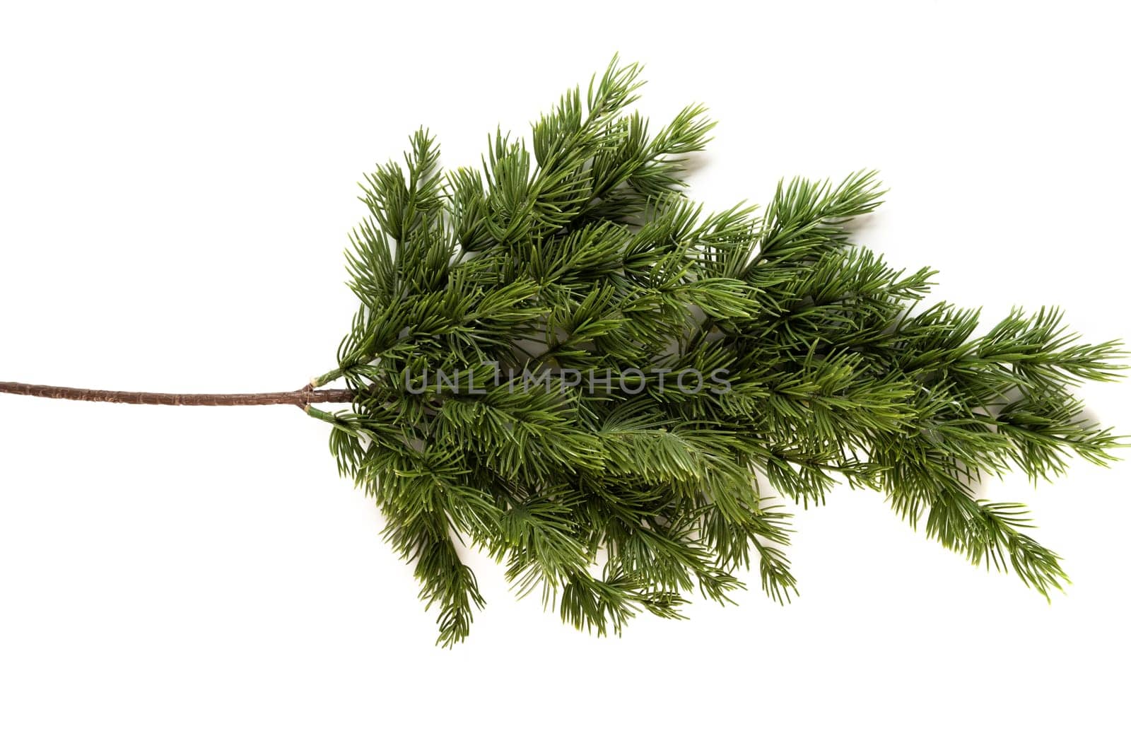 Fake fir tree branch for decorating of bouquets and home.