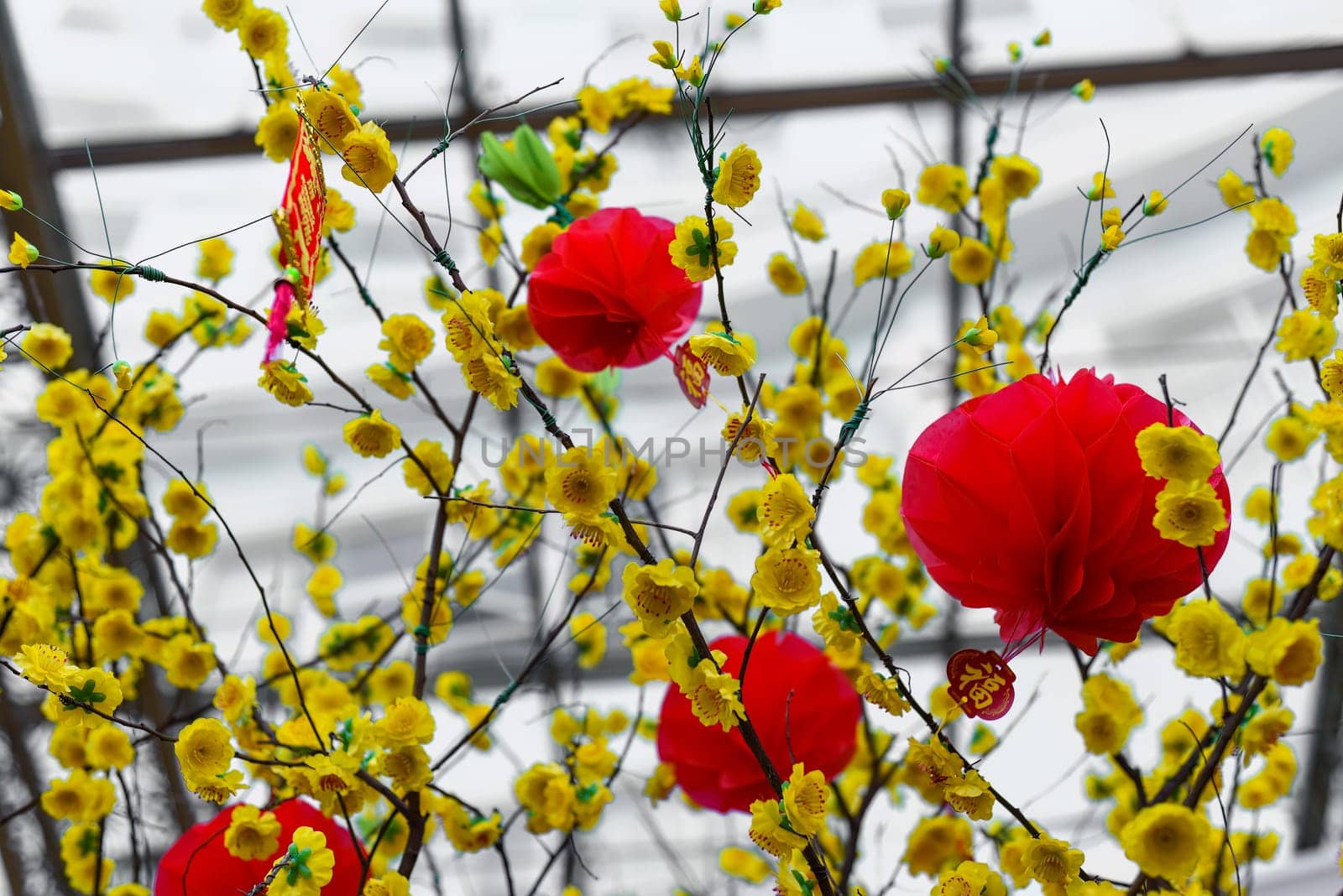 Red lanterns hanging in Vietnam for Tet Lunar New YearRed lanterns hanging in Vietnam for Tet Lunar New Year