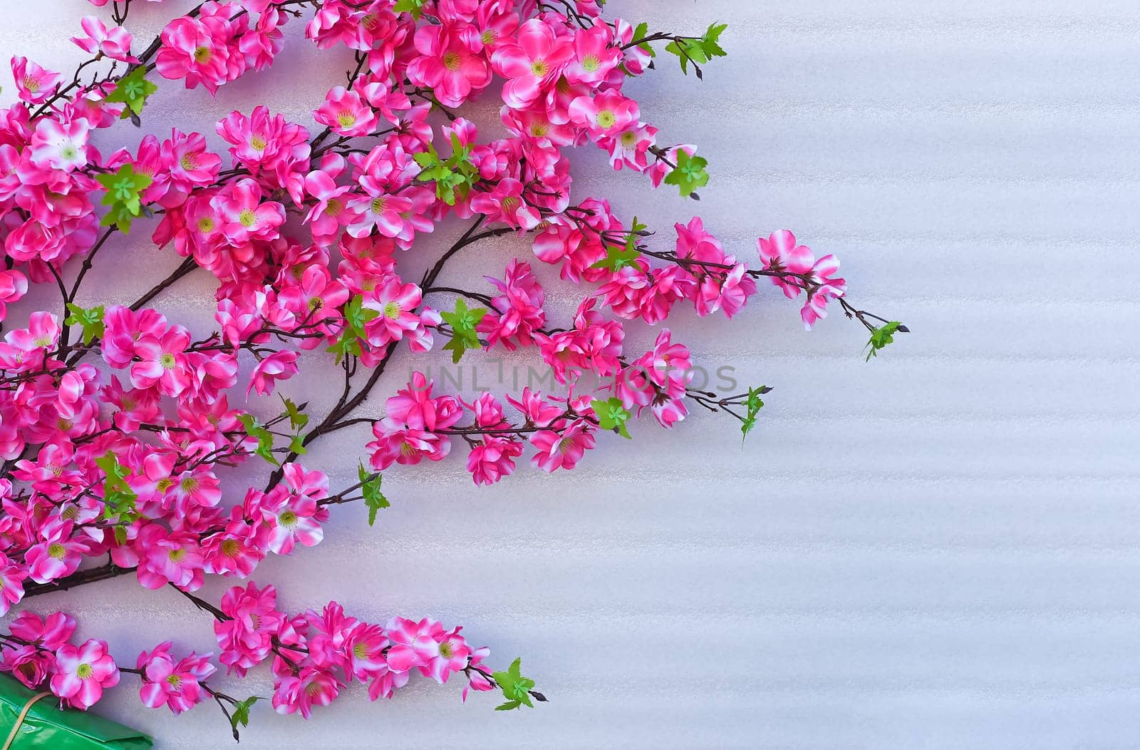 Pink flowers decoration for Tet Lunar New Year