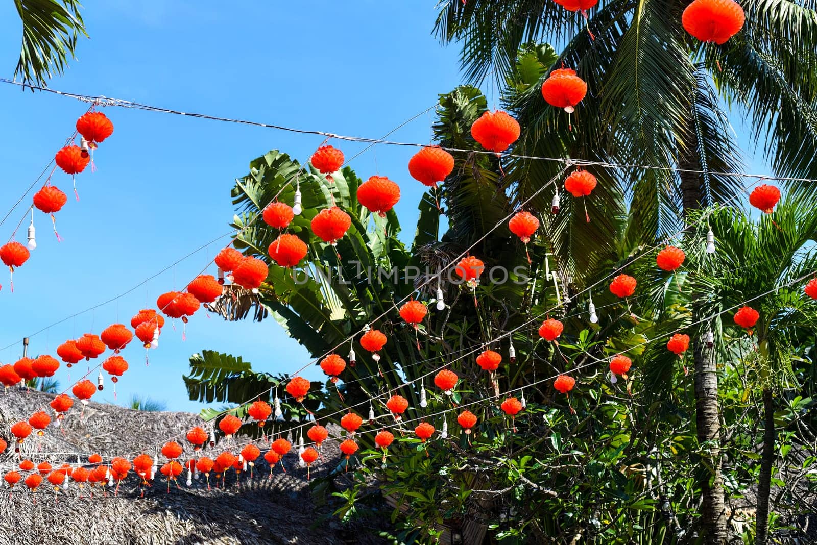 Many red lanterns hanging in Vietnam for Tet Lunar New Year