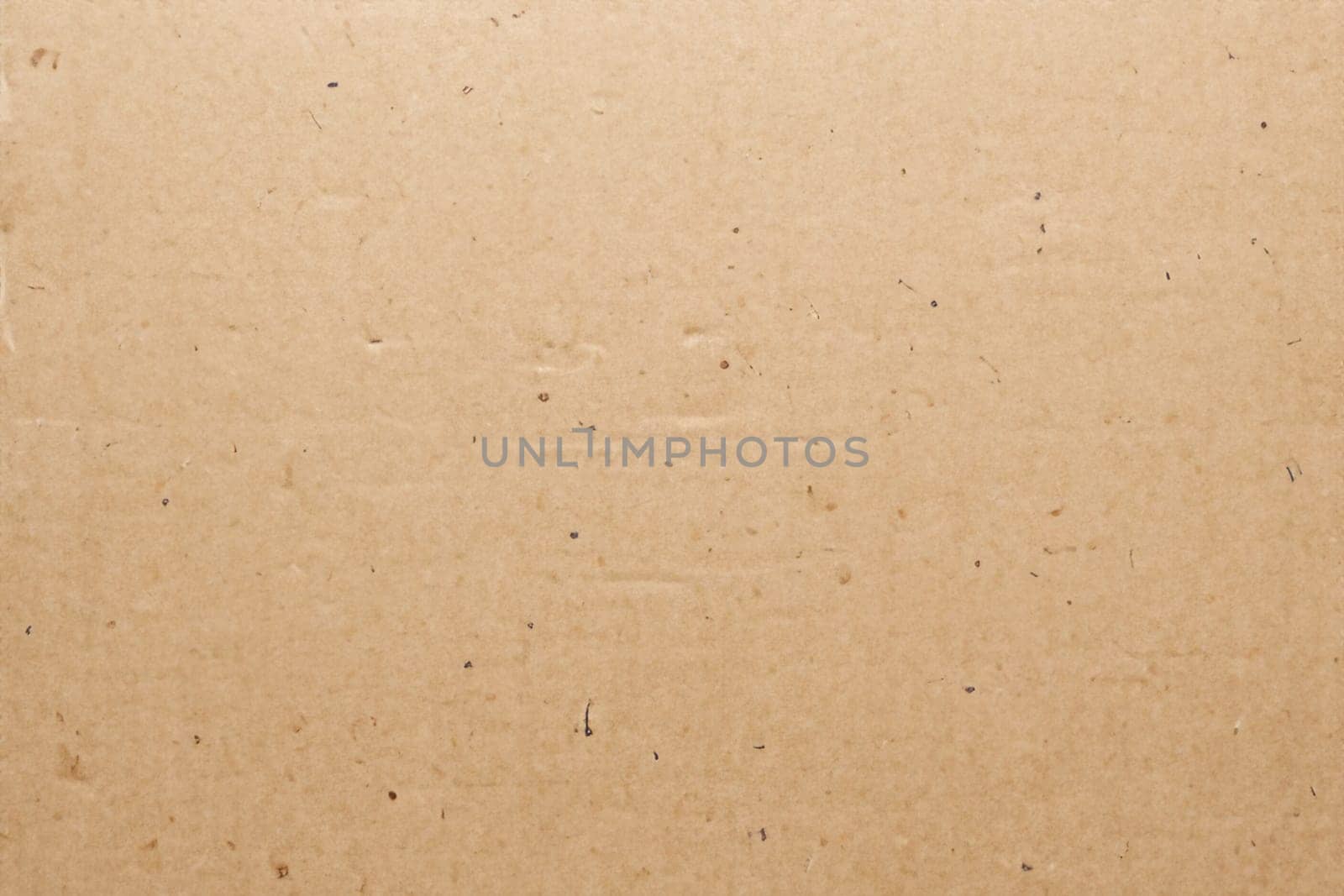 Paper texture cardboard background. Smooth cardboard surface