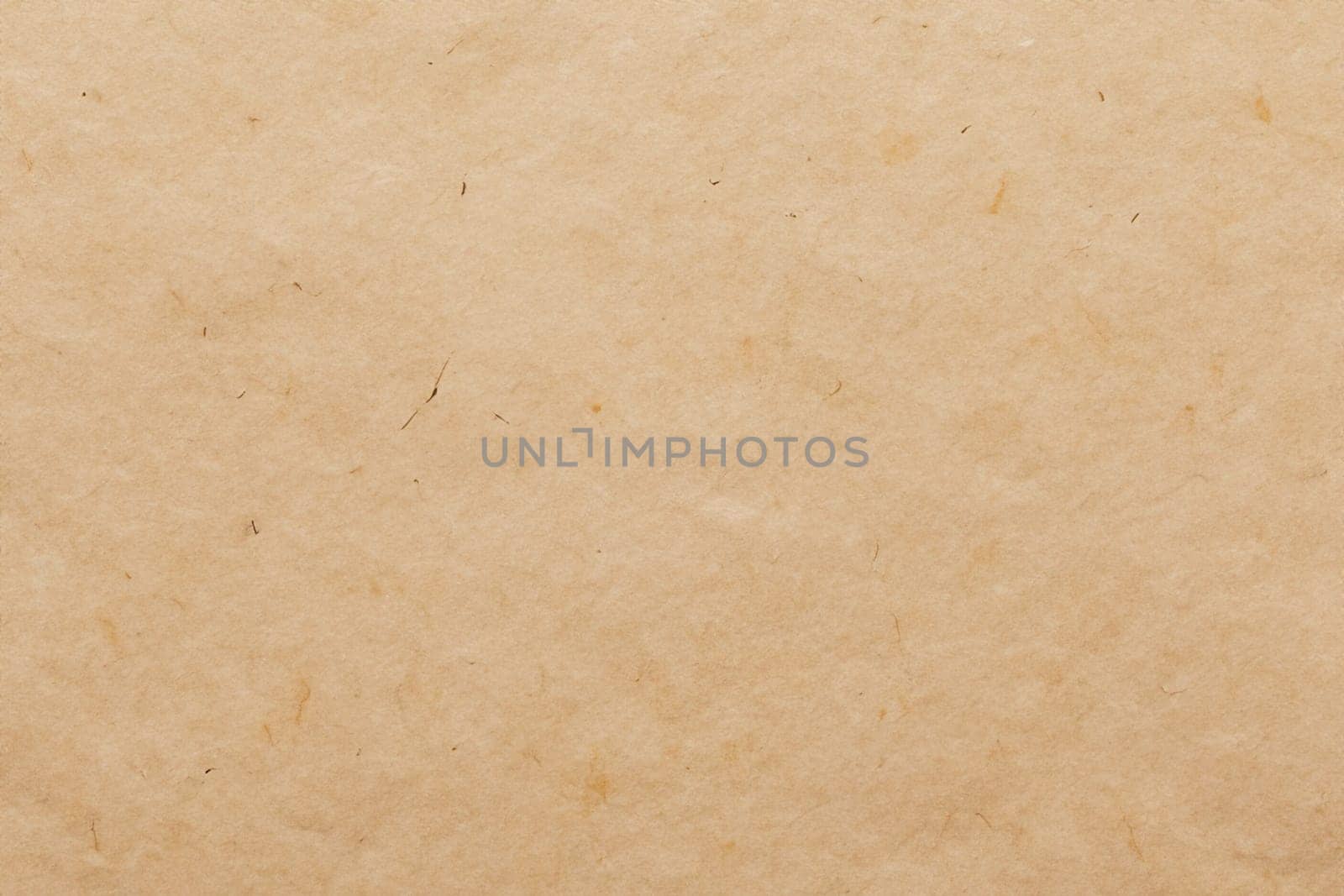 Paper texture cardboard background. Smooth cardboard surface