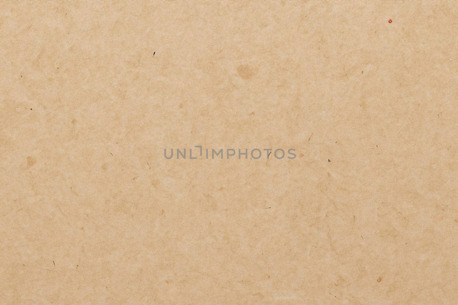 Paper texture cardboard background. Smooth cardboard surface