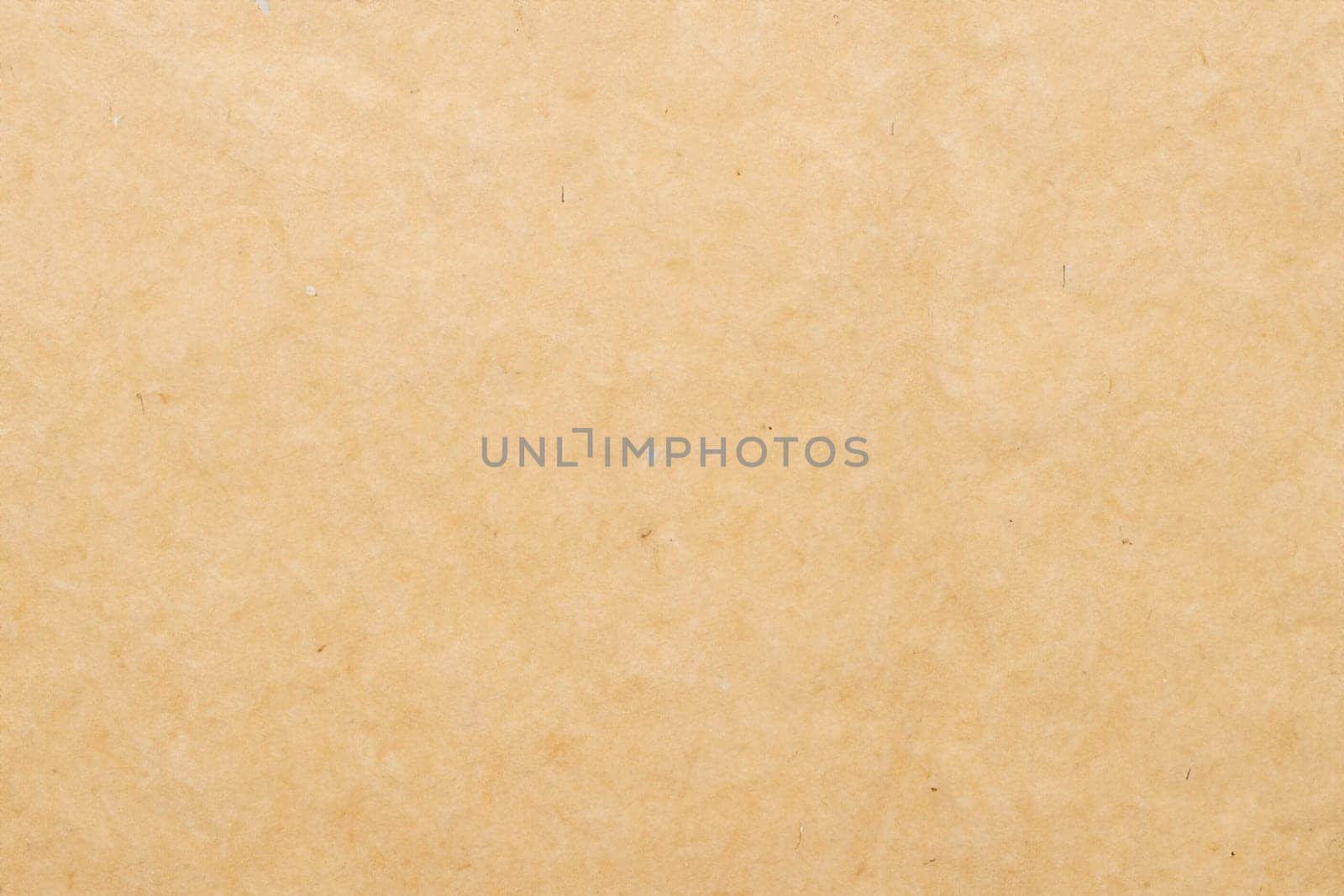 Paper texture cardboard background. Smooth cardboard surface