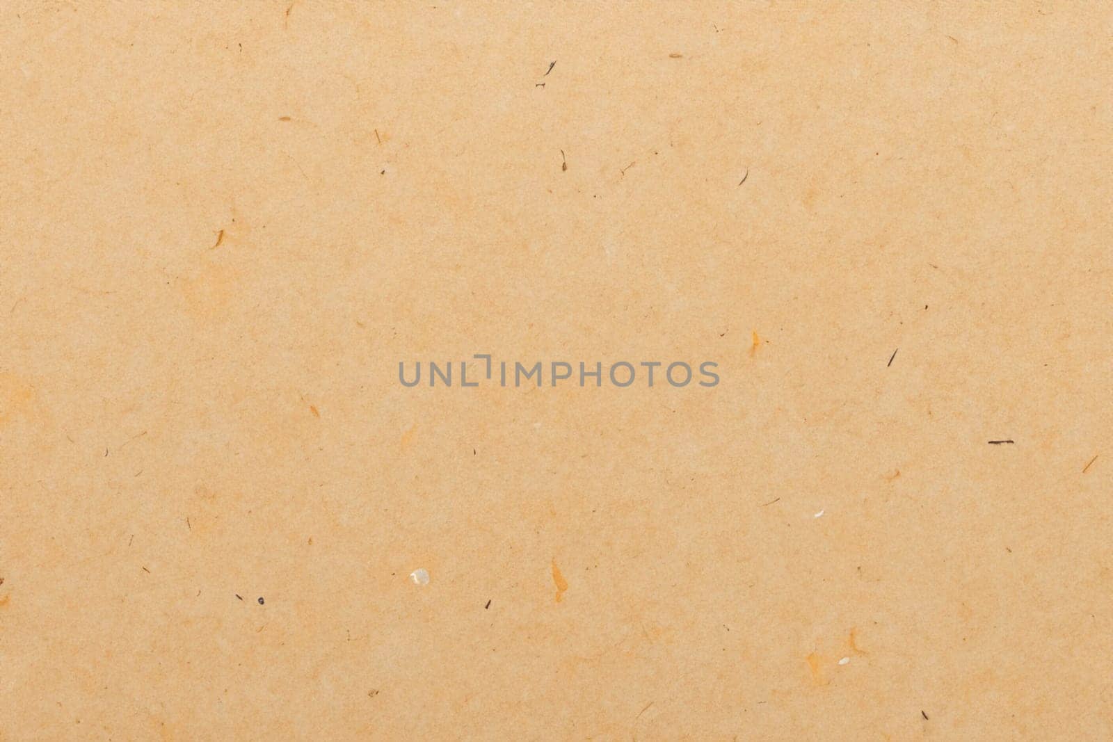 Paper texture cardboard background. Smooth cardboard surface