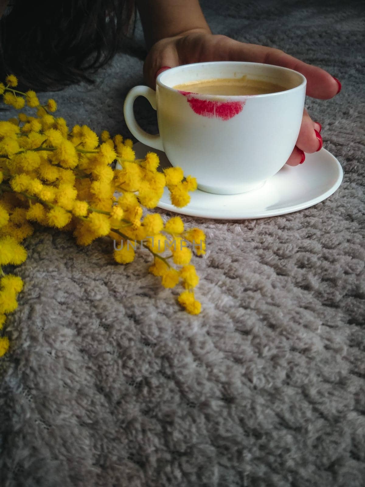 A cup of coffee with a red lipstick imprint on a white mug. A gray bed and a spring yellow mimosa. March 8 morning, women's day, congratulations, gifts, special day