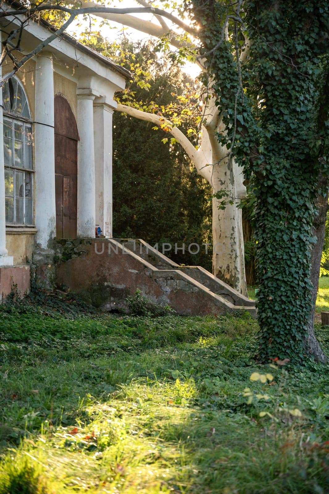 old house with white columns from the 19th century in the park. huge trees around, with a overgrown garden at autumn. High quality photo