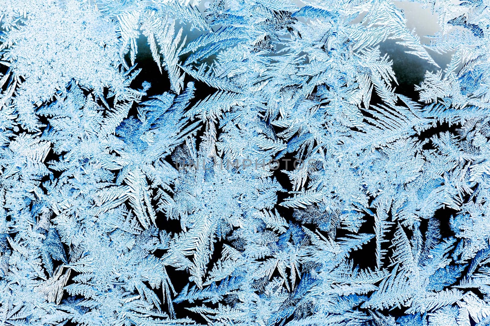 Frost on a window in winter, blue toned