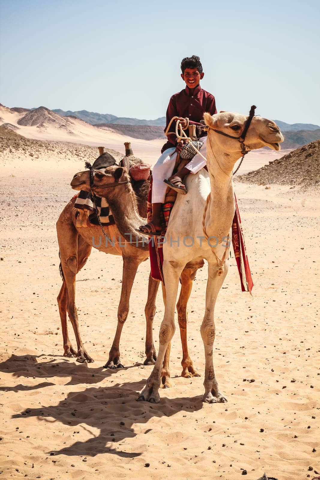 A boy is riding a camel in the desert. The camel is white and has a red band around its neck