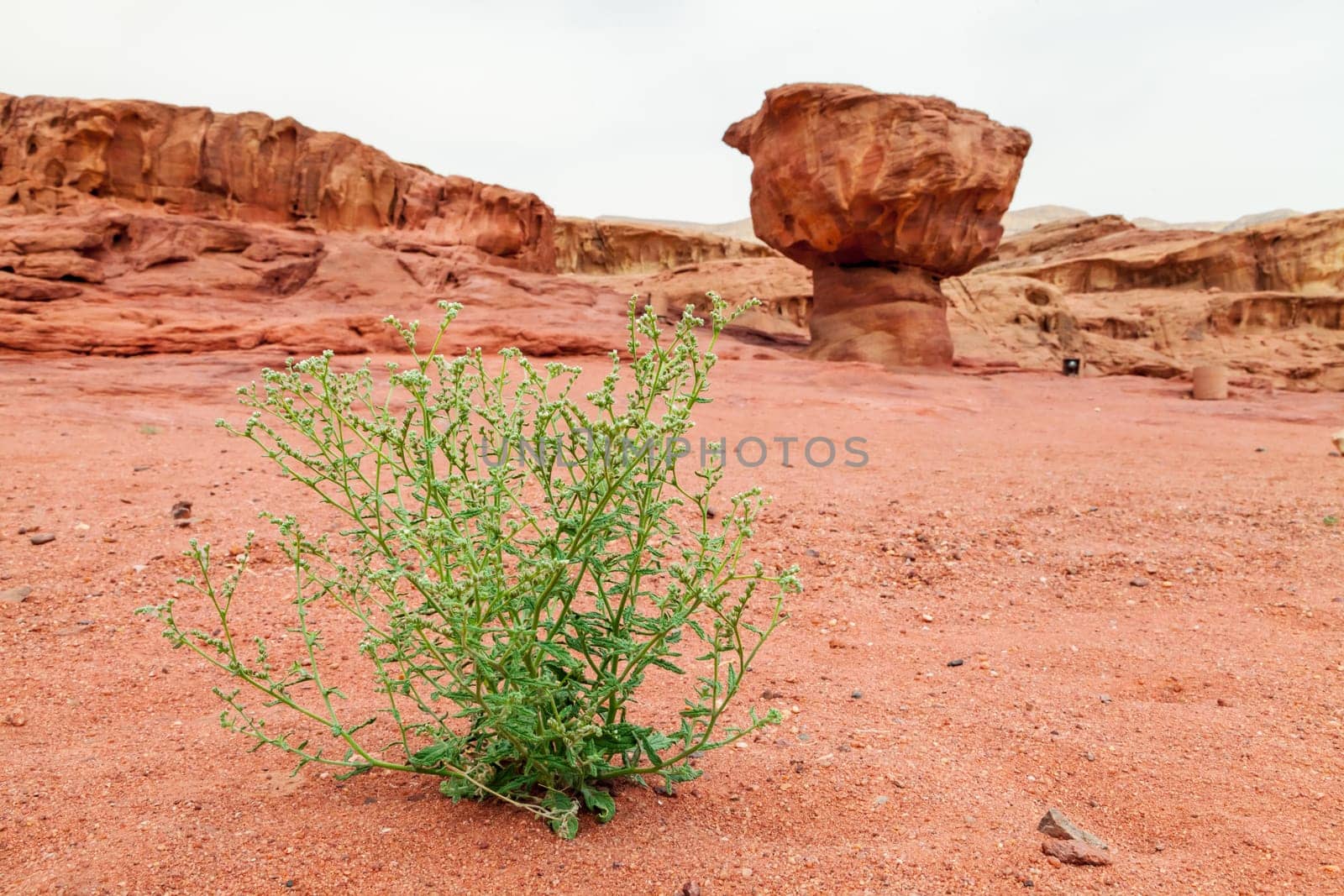 View of barren land of Timna Valley, Israel