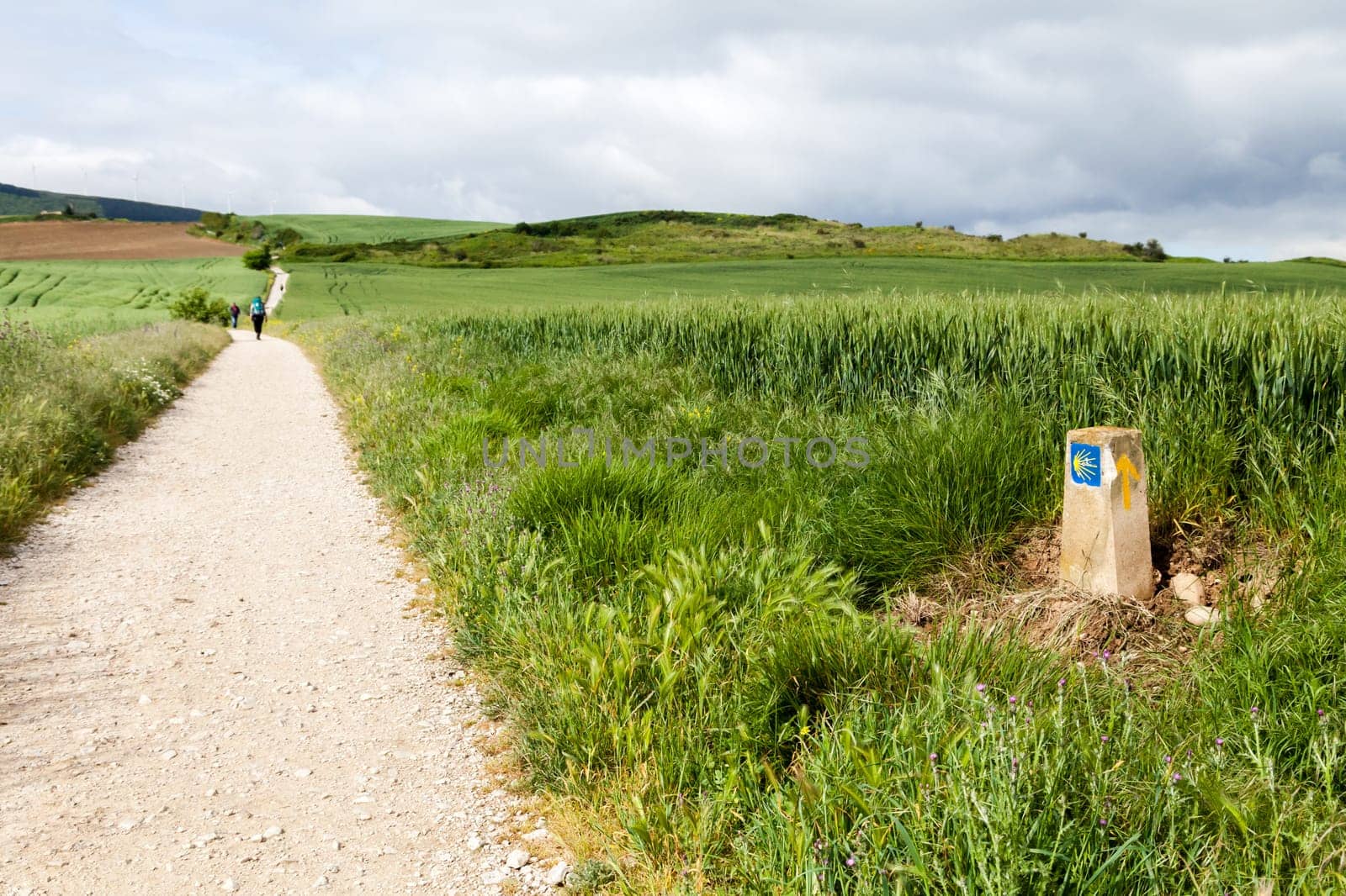 A serene path leads through vibrant greenery in the French Pyrenees, inviting pilgrims to explore the Camino de Santiago.