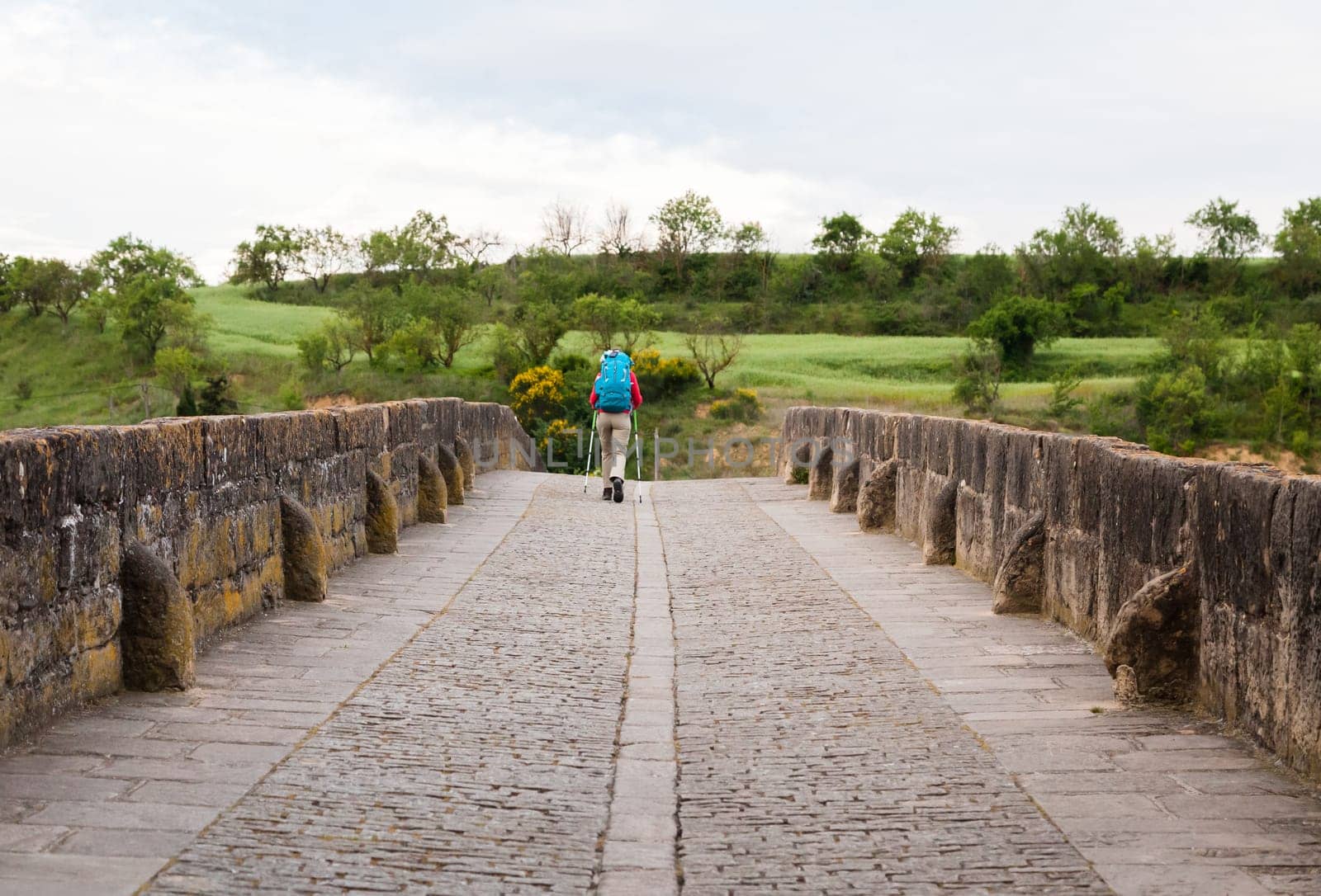 A person strolls on an ancient stone bridge in Obanos, Spain, enjoying the lush greenery and serenity of the landscape.