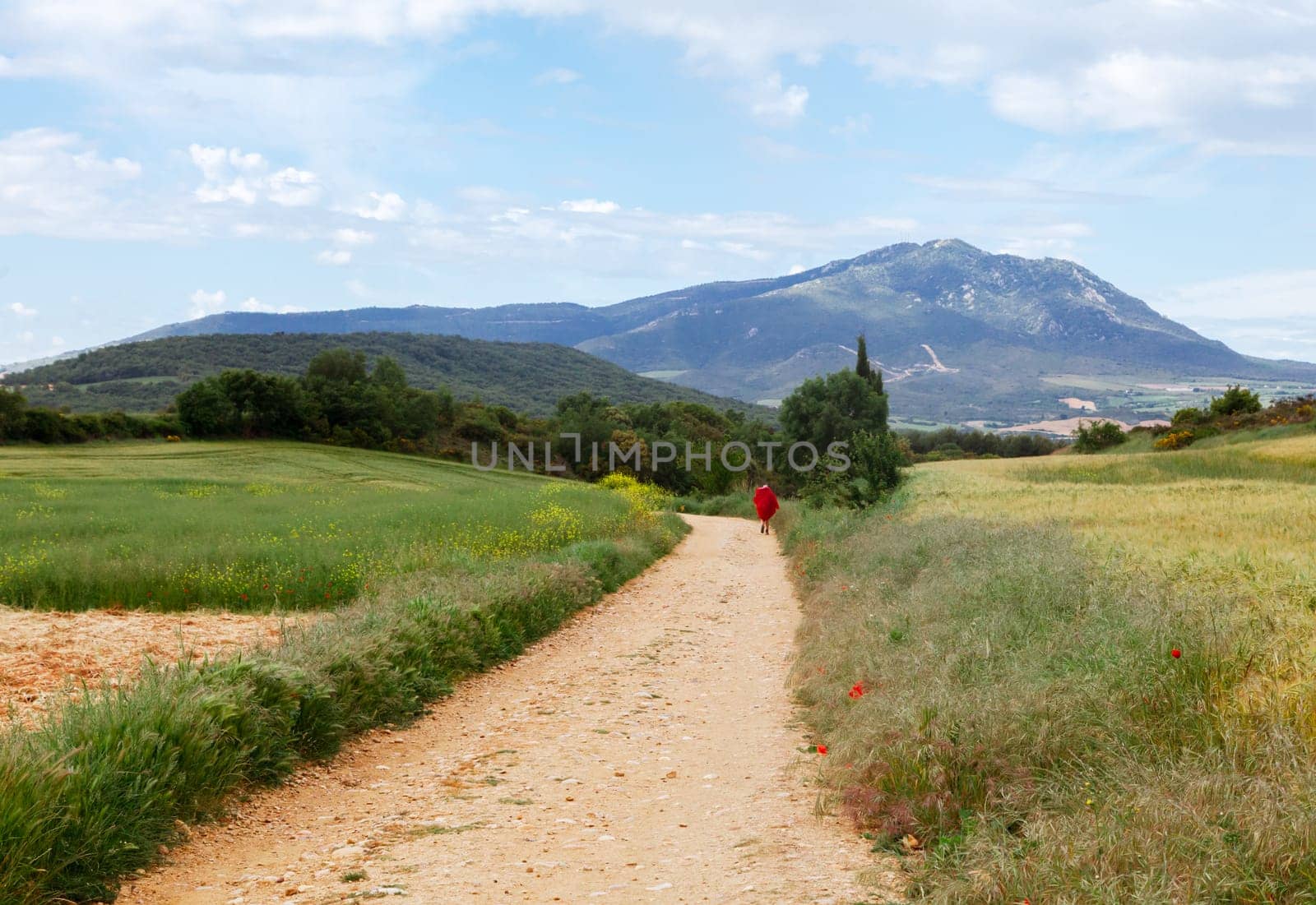 A lone figure strolls along a dirt path surrounded by lush greenery, with a mountain backdrop under a clear sky.