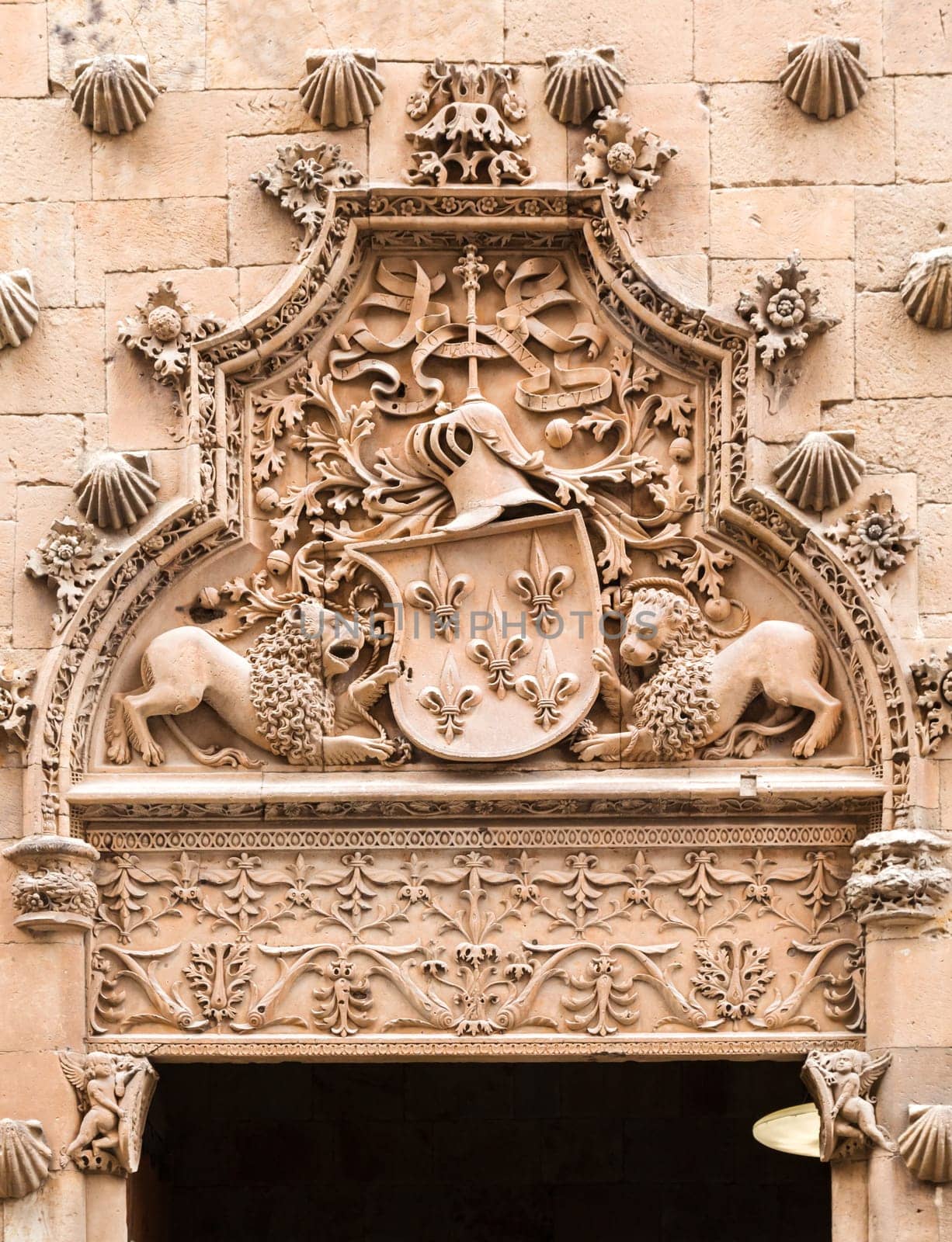 The ornate stonework features two lions guarding a coat of arms at an ancient building in Salamanca's historic district.