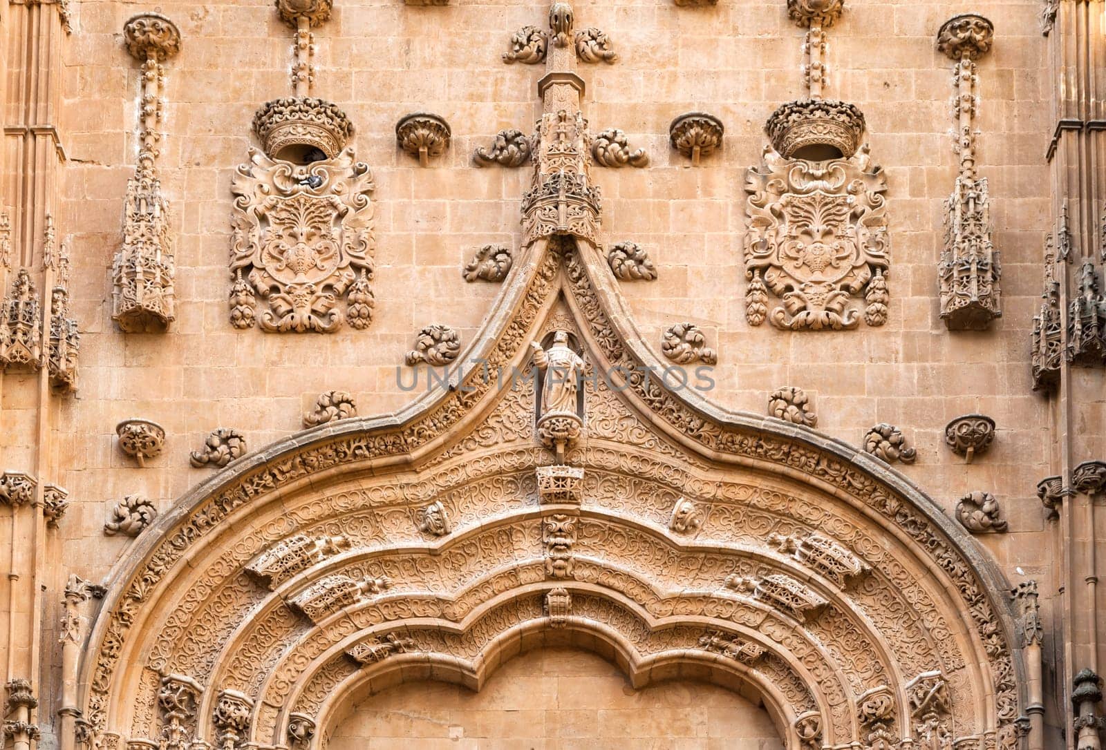 Elaborate stone details decorate the entrance of the cathedral in Salamanca, showcasing the city's rich history and craftsmanship.