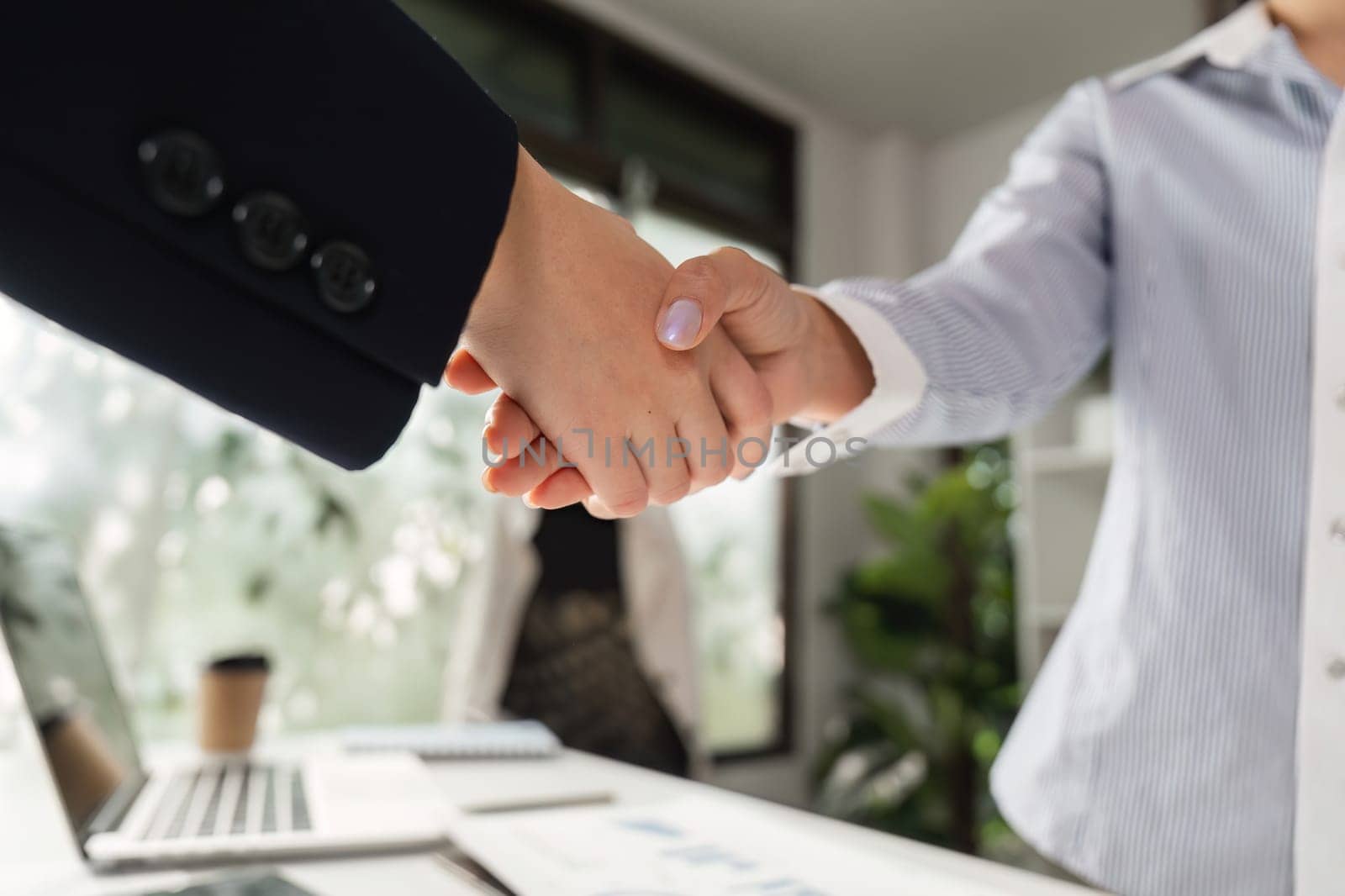 Two diverse business professionals are shaking hands in the office, symbolizing partnership and collaboration in their business endeavors.